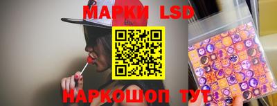 СК Кингисепп