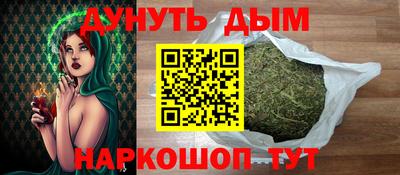 СК Кингисепп