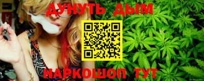 СК Кингисепп