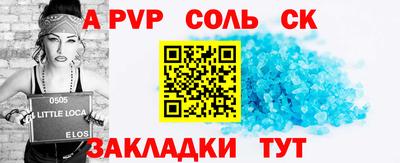 СК Кингисепп
