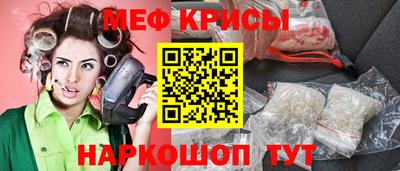СК Кингисепп