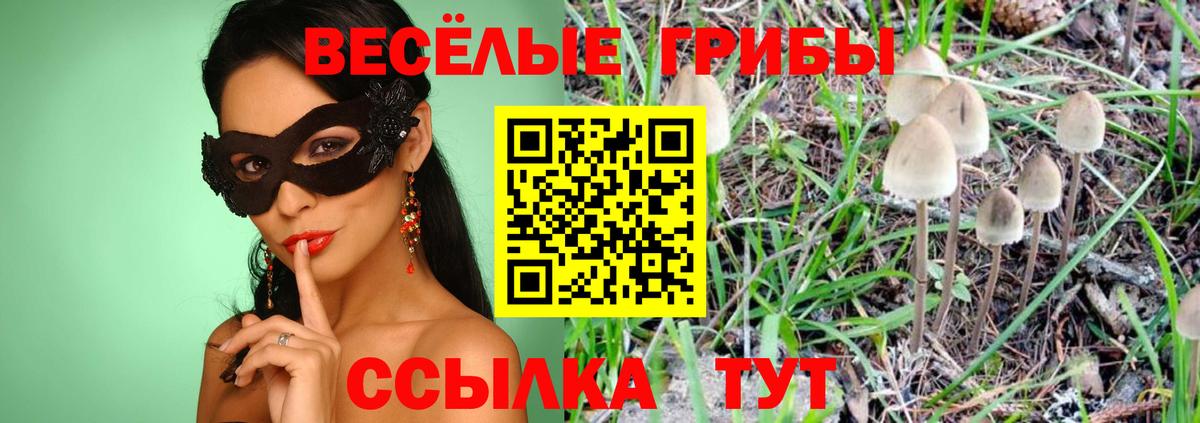 Галлюциногенные грибы мицелий Электрогорск