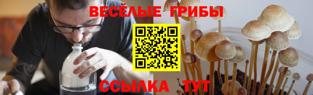Псилоцибиновые грибы мухоморы  Вход с VPN  Электрогорск 